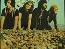 PACIFIC DRIFT Feelin Free LP RARE PSYCH DERAM SEALED NM