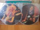 RARE METALLICA MOLTEN ROCK DOUBLE LP PICTURE DISCS NR
