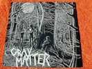 GRAY MATTER Food For Thought DISCHORD LP