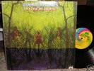 1968 Psych LP AMERICAN BLUES Do Their Thing  pre ZZ TOP