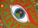  ORIGINAL 13TH Floor Elevators MONO