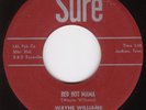 Wayne Williams RARE RAB 45 on Sure 1001 Red Hot Mama