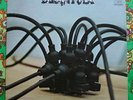 TARANTULA same WLP white label promo Psych