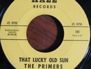 Rare Northern Soul Killer The Primers Hale 101 Hear It