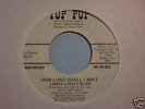 JAMES LEWIS FIELDS How Long Shall I Wait Funk 45 LISTEN
