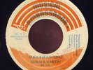 Horace Martin Africa Is Calling JA 45 Listen