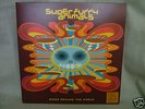 SUPER FURRY ANIMALS - Rings Around the World DBL G/F LP