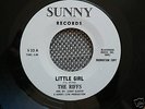 MONSTER DOO WOP 45 rpm THE RIFFS on SUNNY lbl WL PROMO