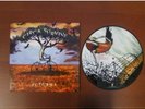 Circa Survive Juturna LP Pic Disc NEW Saosin Brand New