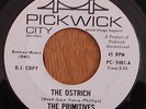 The Primitives 45 pre Velvet Underground Lou Reed VU