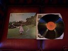ON THE SHORE / TREES RARE VINYL LP