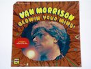 VAN MORRISON Blowin' your mind 67 THEM Orig MINT SEALED