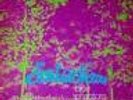 BLUE PHANTOM-DISTORTIONS LP RARE PSYCH ACID MINT ITALY