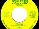 SAGE I'm Alive  NORTHERN MODERN SOUL 45 *HEAR