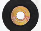 NEW FLOWER/JAH JAH ROBE - RISING SON [ROOTS REGGAE] 7