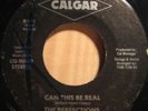 MODERN SOUL the perfections CAN THIS BE REAL calgar