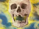 EXPEDITION LIVE 1971 HEAVY BLUES PROG PSYCH LP CANADA