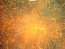TABACO-DESINTEGRACION LP 1971 RARE EX-EX
