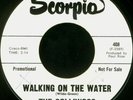 GOLLIWOGS Walking On The Water Garage Punk 45 FUZZ