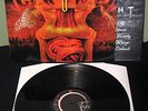 Testament The Gathering MINT UNPLAYED RARE THRASH