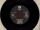 PATTI SMITH Hey Joe (Version) ORIGINAL MER 1974 US 7