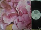 STILL LIFE - SAME  VERTIGO SWIRL 6360 026   RARE
