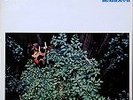 SUNI MCGRATH LP RARE Robbie Basho Peter Walker Chasny