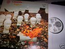 CRESSIDA : ASYLUM LP 1971 VERTIGO SWIRL 6360025 GERMANY