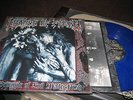 Cradle of Filth-principle of evil made flesh-LP color