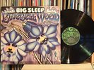 BIG SLEEP - BLUEBELLL WOOD    GLOBAL    Prog Rock Kraut
