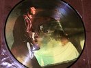 Stevie Ray Vaughan  Ultra RARE OOP Picture Disc