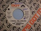 THE AMERICAN SCENE 60's Sunshine Pop Psych 45 LISTEN