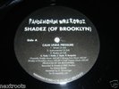SHADEZ OF BROOKLYN - CALM UNDA PRESSURE 12' RANDOM RARE