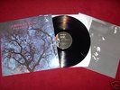 AMON DÜÜL 2 - PHALLUS DEI - LP VERY RARE 