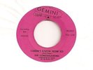 The Constellations - I didn't know how to - Gemini Star