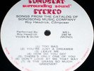 private TEXAS folk DEMO lp/ROY HEADRICK/sonobeat/70/MP3