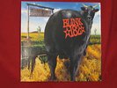 Blink 182 - Dude Ranch Record: RARE: Punk Rock & DJ