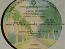 RARE DISCO 12