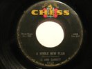 Northern Soul 45 JO ANN GARRETT on CHESS Whole New HEAR