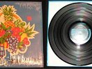 1991 Melvins Bullhead LP Original Plastic Nirvana