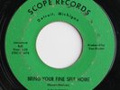 SOULETTES  FINE SELF RARE DETROIT NORTHERN SOUL 45 HEAR