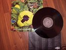 Skyclad - Irrational Anthems  LP - Guter Zustand