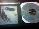 pulling teeth / dwid hellion 12