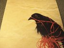 Death Cab For Cutie TRANSATLANTICISM First Pressing OOP