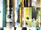 BONOBO 'ANIMAL MAGIC' 2LP (TRU THOUGHTS)