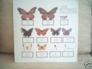 The Jam - Butterfly Collector - Rare USA bootleg dbl LP