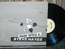 STEVE HAYES: MADE IN TULSA PRIVATE OUTSIDER WASTED LP