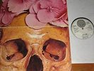 STILL LIFE  Same  VERTIGO SWIRL ORIG.
