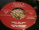 RARE WHITE DOO-WOP 45/ WAYNE HAMMOND & THE STARFIRES NM