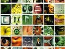 ***** PEARL JAM NO CODE LP - FACTORY SEALED *****